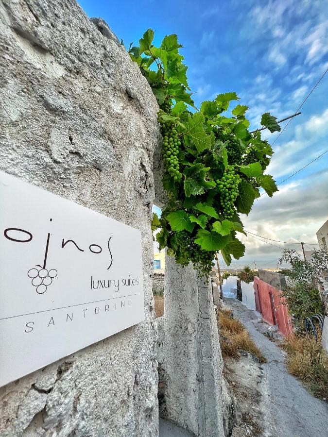 Oinos Luxury Suites Foinikiá Exterior foto